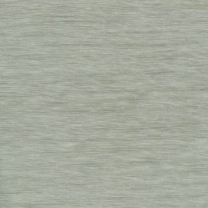 Gainsford Platinum by Kasmir Designer Fabric 5060 75% Polyester 25% Viscose INDIA Not Tested Horizontal: 0 Inches and Vertical: 0 Inches 54 - Swanky Fabrics -