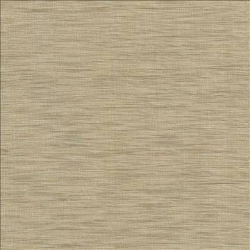 Gainsford Praline by Kasmir Designer Fabric 1313 75% Polyester 25% Viscose INDIA Not Tested H: N/A, V: N/A 54 - Swanky Fabrics - Kasmir
