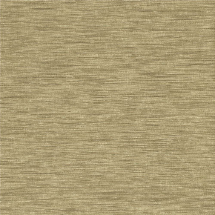 Gainsford Silver by Kasmir Designer Fabric 5060 75% Polyester
25% Viscose
 INDIA </p><p>Repeat: Horizontal: N/A and Vertical: N/A 54 - Swanky Fabrics -
