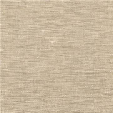Gainsford Tussah by Kasmir Designer Fabric 5060 75% Polyester 25% Viscose INDIA Not Tested H: N/A, V: N/A 54 - Swanky Fabrics - Kasmir