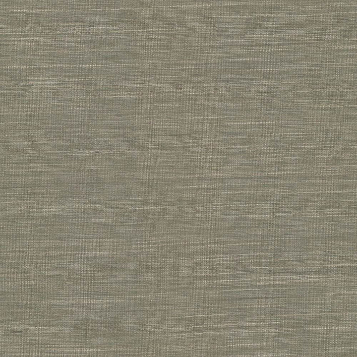 Gainsford Walnut by Kasmir Designer Fabric 5060 75% Polyester 25% Viscose INDIA Not Tested Horizontal: 0 Inches and Vertical: 0 Inches 54 - Swanky Fabrics -