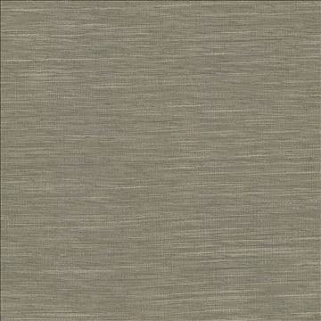 Gainsford Walnut by Kasmir Designer Fabric 5060 75% Polyester 25% Viscose INDIA Not Tested H: N/A, V: N/A 54 - Swanky Fabrics - Kasmir