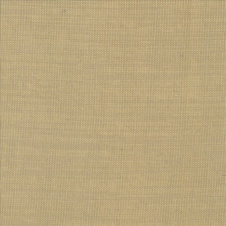 Gauzier Linen  by Kasmir Designer Fabric 5076 100% Polyamide
 TURKEY  Horizontal: N/A and Vertical: N/A 117  - Swanky Fabrics -