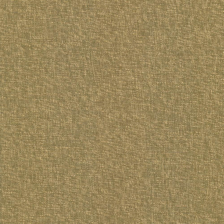 Gobo Butterscotch by Kasmir Designer Fabric 5069 60% Polyester
40% Rayon
 INDIA 30,000 Wyzenbeek Double Rubs </p><p>Repeat: Horizontal: N/A and Vertical: N/A 54 - Swanky Fabrics -