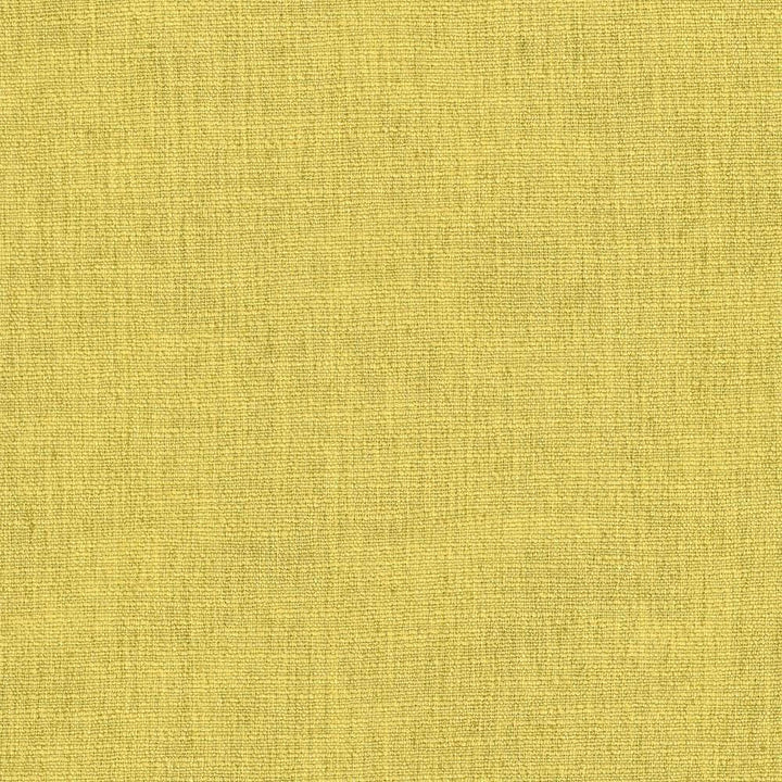 Gobo Citrine by Kasmir Designer Fabric 5074 60% Polyester
40% Rayon
 INDIA 30,000 Wyzenbeek Double Rubs </p><p>Repeat: Horizontal: N/A and Vertical: N/A 54 - Swanky Fabrics -