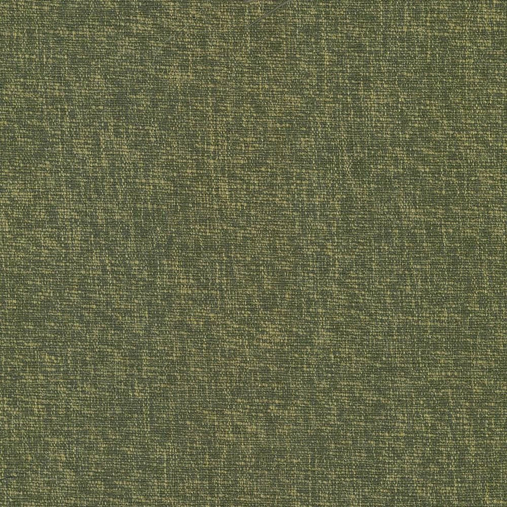 Gobo Forest by Kasmir Designer Fabric See sample 60% Polyester
40% Rayon
 INDIA 30,000 Wyzenbeek Double Rubs </p><p>Repeat: Horizontal: N/A and Vertical: N/A 54 - Swanky Fabrics -