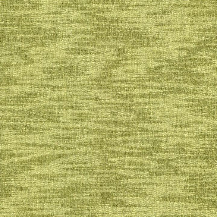 Gobo Kiwi by Kasmir Designer Fabric 5074 60% Polyester
40% Rayon
 INDIA 30,000 Wyzenbeek Double Rubs </p><p>Repeat: Horizontal: N/A and Vertical: N/A 54 - Swanky Fabrics -