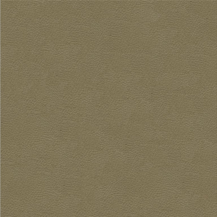 GRANA.11 by Kravet Design Designer Fabric in our sample Polyurethane 100% Japan Heavy Horizontal: See Sample and Vertical: See Sample 54 inches - Swanky Fabrics -