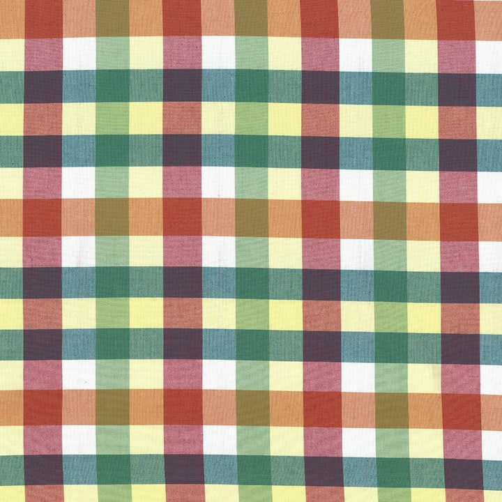 Grimaldi Check Summer by Kasmir Designer Fabric 5069 100% Cotton INDIA 30,000 Wyzenbeek Double Rubs Horizontal: 6 6/8 inches and Vertical: 13 4/8 inches 54 - Swanky Fabrics -