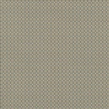 Guideline Ironstone by Kasmir Designer Fabric 5067 69% Polyester 31% Cotton CHINA 51,000 Wyzenbeek Double Rubs H: 4/8 inches, V: 4/8 inches 57 - Swanky Fabrics - Kasmir