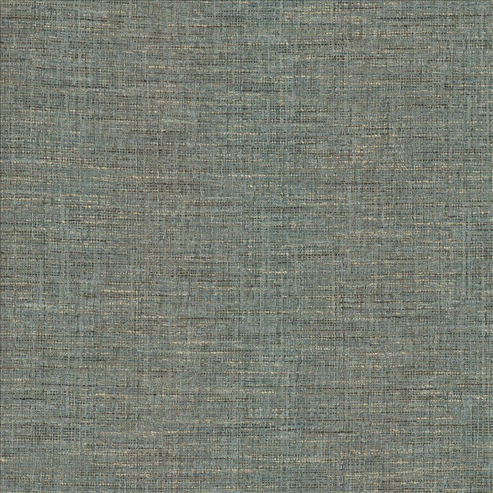 Guillermo Slate by Kasmir Designer Fabric 1461 91% Polyester
9% Rayon
 INDIA 100,000 Wyzenbeek Double Rubs </p><p>Repeat: Horizontal: N/A and Vertical: N/A 56 - Swanky Fabrics -