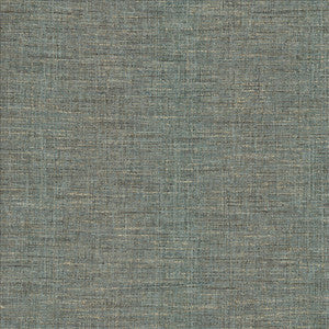Kasmir Fabric Guillermo Slate
