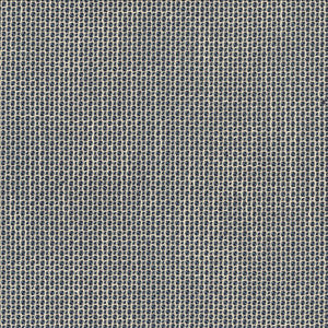 Kasmir Fabric Home Run Indigo