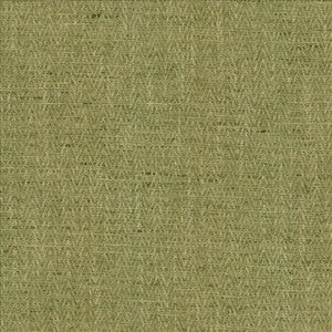Kasmir Fabric Homestretch Grass