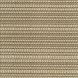 Kasmir Fabric Hot To Trot Platinum
