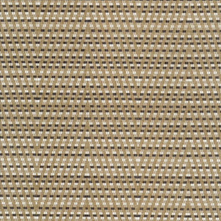 Hot To Trot Platinum by Kasmir Designer Fabric 5113 78% Polyester 22% Cotton INDIA 25,000 Wyzenbeek Double Rubs Horizontal: 6 7/8 inches and Vertical: 14 6/8 inches 54 - 56 - Swanky Fabrics -