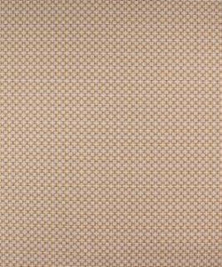 Barrow Fabric Exuberant 11114 M10109R