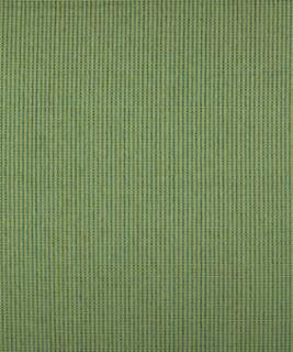 Dorio 12105 M9488 by Barrow Designer Fabric 1869 51% POLYESTER
49% RAYON CHINA 15,000 DOUBLE RUBS </p><p>Repeat: Horizontal: N/A and Vertical: N/A 54" Minimum - Swanky Fabrics -