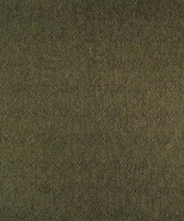 Kensal 12105 M9962 by Barrow Designer Fabric 19CL05 65% POLYESTER (F) 35% POLYESTER (S) CHINA 75,000 DOUBLE RUBS </p><p>Repeat: Horizontal: and Vertical: 54" Minimum - Swanky Fabrics -