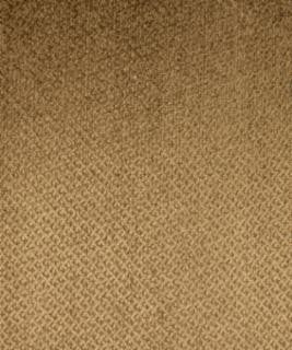 Exclaim Camel M6795 by Barrow Designer Fabric 13C01 70% RAYON
19% POLYESTER
11% COTTON CHINA 39,000 DOUBLE RUBS </p><p>Repeat: Horizontal: N/A and Vertical: N/A 54" Minimum - Swanky Fabrics -