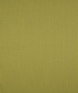 Barrow Fabric Terrapin Creek Kiwi M8926