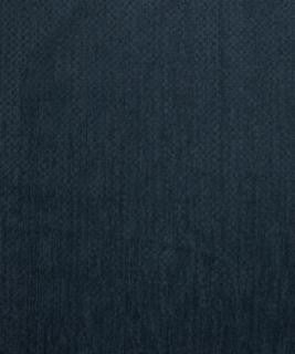 Sumptuous 11908 M10351 by Barrow Designer Fabric 18C01 100% POLYESTER CHINA 15,000 DOUBLE RUBS </p><p>Repeat: Horizontal: and Vertical: 54" Minimum - Swanky Fabrics -