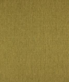 Galley Lime M8925 by Barrow Designer Fabric 15CL02 100% POLYESTER CHINA 12,000 DOUBLE RUBS </p><p>Repeat: Horizontal: N/A and Vertical: N/A 54" Minimum - Swanky Fabrics -