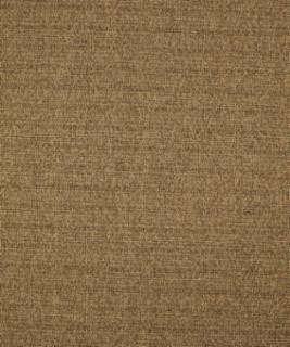 Caspian 12214 M10256 by Barrow Industries Designer Fabric Casual Living/18C02 66% POLYESTER FILAMENT-TEXTURED
34% POLYESTER FILAMENT NON-TEXTURED Asia 36,000 DOUBLE RUBS Horizontal: - and Vertical: - 57" - Swanky Fabrics -