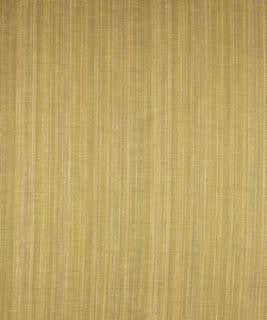 Promise Sprout M8904 by Barrow Designer Fabric 10C02 69% RAYON (S) 31% POLYESTER (F) CHINA 12,000 DOUBLE RUBS </p><p>Repeat: Horizontal: N/A and Vertical: 8" 54" Minimum - Swanky Fabrics -