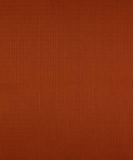 Terrapin Creek Cinnamon M8926 by Barrow Designer Fabric 11C06 69% POLYESTER (F)
31% COTTON CHINA 12,000 DOUBLE RUBS </p><p>Repeat: Horizontal: N/A and Vertical: N/A 54" Minimum - Swanky Fabrics -