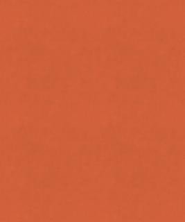 Torino 21505 M9989 by Barrow Designer Fabric 1869 100% POLYESTER KNIT PILE FABRIC CHINA 30,000 DOUBLE RUBS </p><p>Repeat: Horizontal: and Vertical: 54" Minimum - Swanky Fabrics -
