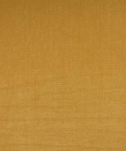 Barrow Fabric Damien Golden M7889
