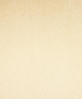 Exclaim Ivory M6795 by Barrow Designer Fabric 13C01 70% RAYON 19% POLYESTER 11% COTTON CHINA 39,000 DOUBLE RUBS </p><p>Repeat: Horizontal: N/A and Vertical: N/A 54" Minimum - Swanky Fabrics -