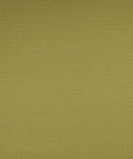 Hampden Sprout M8654 by Barrow Industries Designer Fabric Transitional/1113 52% POLYESTER (S)
48% POLYESTER (F) Asia 50,000 DOUBLE RUBS Horizontal: N/A and Vertical: N/A 57" - Swanky Fabrics -