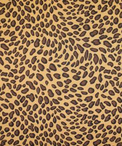 Barrow Fabric Meow Safari M8811