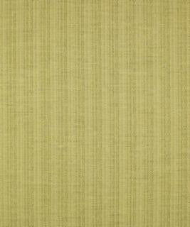 Top Of The Heap Bamboo M9273 by Barrow Designer Fabric 12CL06 100% POLYESTER FILAMENT NON-TEXTURED CHINA 30,000 DOUBLE RUBS </p><p>Repeat: Horizontal: and Vertical: 54" Minimum - Swanky Fabrics -