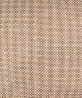 Exuberant 11114 M10109R by Barrow Designer Fabric 20C02 100% POLYESTER (S) CHINA 36,000 DOUBLE RUBS </p><p>Repeat: Horizontal: 5/8" and Vertical: 5/8" 54" Minimum - Swanky Fabrics -
