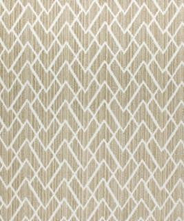Adonis 11012 M10396 by Barrow Designer Fabric 18CL07 60% POLYESTER 40% COTTON CHINA 24,000 DOUBLE RUBS </p><p>Repeat: Horizontal: 13 1/2" and Vertical: 13 1/2" 54" Minimum - Swanky Fabrics -