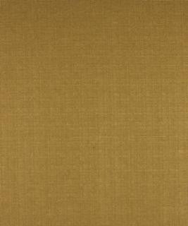 Maxim Alfalfa M7286 by Barrow Designer Fabric 12CL03 52% POLYESTER FILAMENT-TEXTURED
48% POLYESTER FILAMENT NON-TEXTURED CHINA 30,000 DOUBLE RUBS </p><p>Repeat: Horizontal: N/A and Vertical: N/A 54" Minimum - Swanky Fabrics -