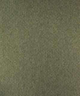 Astral 12114 M10070 by Barrow Industries Designer Fabric Textures/Solids/17C06 79% POLYESTER FILAMENT-TEXTURED
21% POLYESTER FILAMENT NON-TEXTURED Asia 51,000 DOUBLE RUBS Horizontal: - and Vertical: - 57" - Swanky Fabrics -