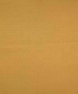 Barrow Fabric Terrapin Creek Papaya M8926
