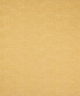 Anthony Pollen M9047 by Barrow Industries Designer Fabric Transitional/1413 100% POLYESTER Asia 18,000 DOUBLE RUBS Horizontal: N/A and Vertical: N/A 57" - Swanky Fabrics -