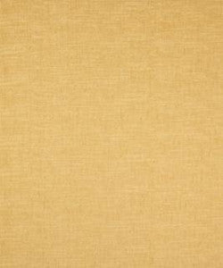 Barrow Fabric Anthony Pollen M9047