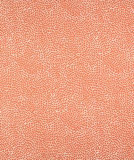 Veneto 11513 M10279 by Barrow Designer Fabric 1869 65% COTTON 35% POLYESTER CHINA 30,000 DOUBLE RUBS </p><p>Repeat: Horizontal: 14 1/8" and Vertical: 10 5/8" 54" Minimum - Swanky Fabrics -