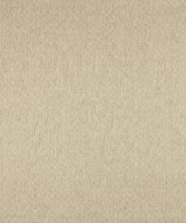 Pupil 11111 M10310 by Barrow Industries Designer Fabric Modern/Contemporary/17CL09 79% POLYESTER (S)
21% POLYESTER (F) Asia 50,000 DOUBLE RUBS Horizontal: 3/4" and Vertical: 3/4" 58" - Swanky Fabrics -