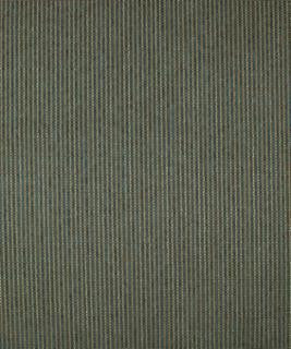 United Danube M9488 by Barrow Designer Fabric 14C06 51% POLYESTER
49% RAYON CHINA 12,000 DOUBLE RUBS </p><p>Repeat: Horizontal: N/A and Vertical: N/A 54" Minimum - Swanky Fabrics -