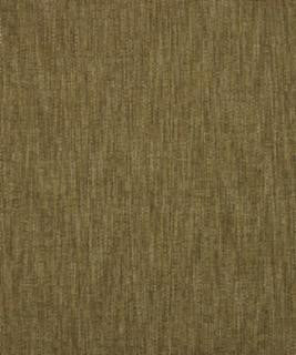 Salish 12115 M10361 by Barrow Designer Fabric 18C02 100% POLYESTER CHINA 15,000 DOUBLE RUBS </p><p>Repeat: Horizontal: and Vertical: 54" Minimum - Swanky Fabrics -