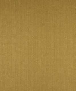 Marino Camel M7286 by Barrow Industries Designer Fabric Transitional/1413 52% POLYESTER FILAMENT-TEXTURED
48% POLYESTER FILAMENT NON-TEXTURED Asia 30,000 DOUBLE RUBS Horizontal: N/A and Vertical: N/A 58" - Swanky Fabrics -