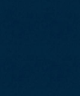 Counterpoint 91908 T11398 by Barrow Industries Designer Fabric 21C08 100% POLYESTER KNIT PILE FABRIC CHINA </p><p>Repeat: Horizontal: and Vertical: 54" Minimum - Swanky Fabrics -