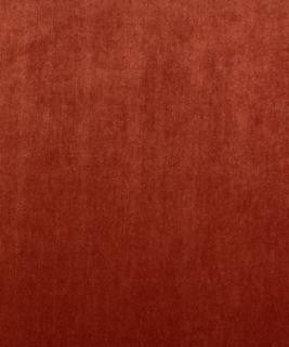 Salvo Poppy M8288 by Barrow Designer Fabric 11C06 79% POLYESTER 21% RAYON CHINA 50,000 DOUBLE RUBS </p><p>Repeat: Horizontal: N/A and Vertical: N/A 54" Minimum - Swanky Fabrics -